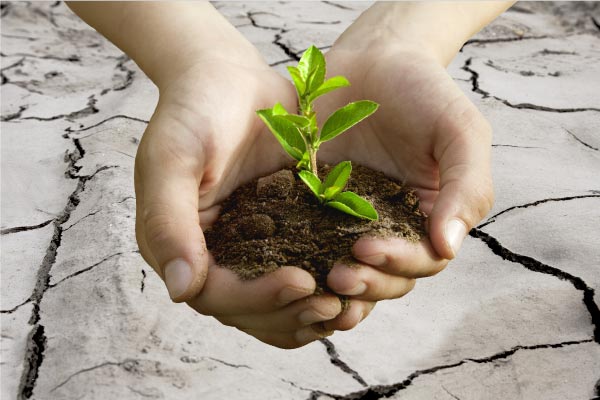 gestión ambiental saneamiento y responsabilidad social